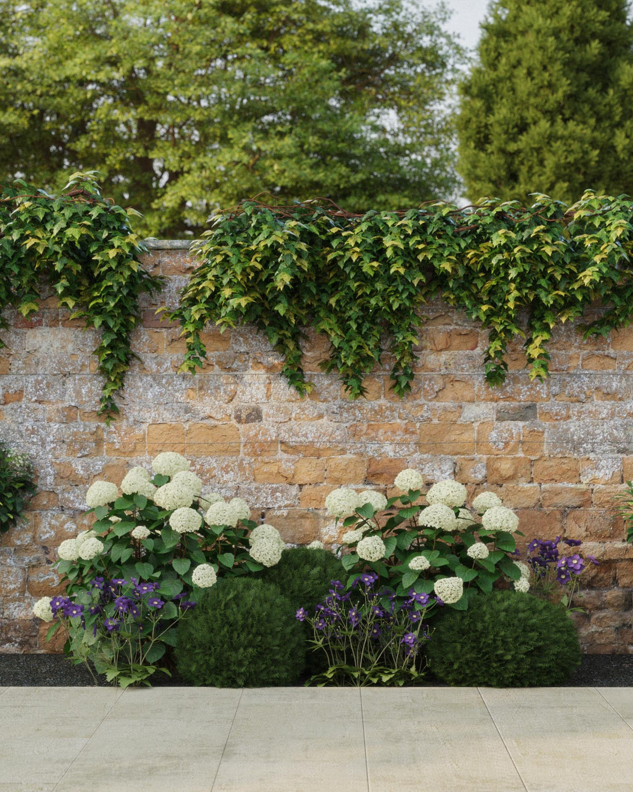 products/SOTOClassicProduct-ViewA-Shade2mWide.jpg